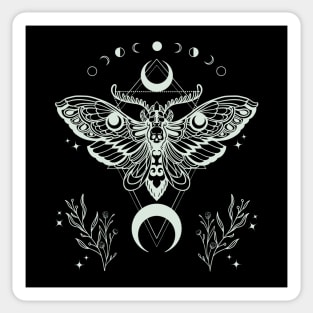 Luna Moth Skull Moon Phases Sticker